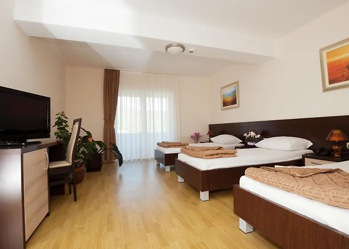Hotel Orka