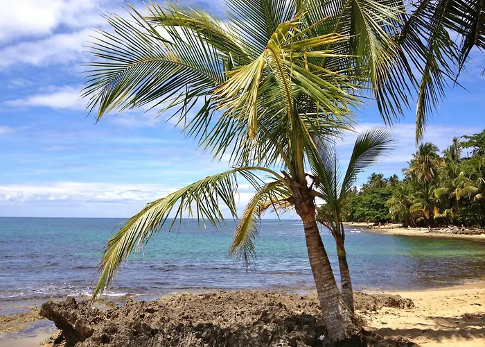 Physis Caribbean Bed & Breakfast