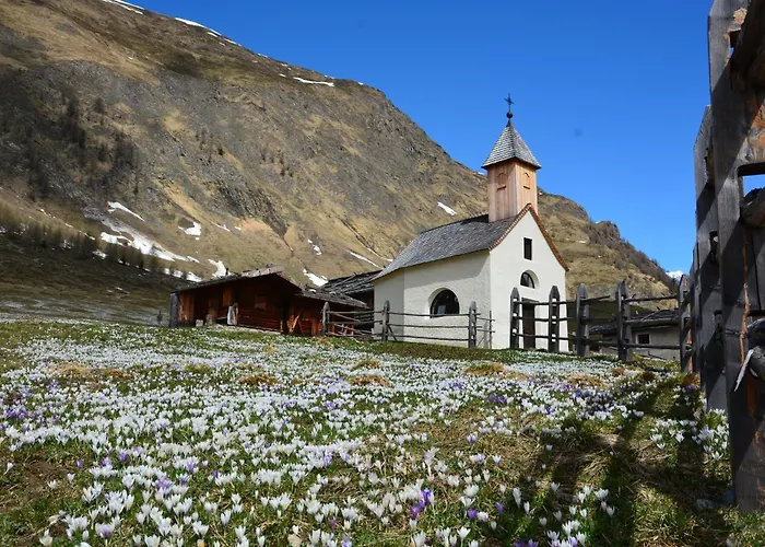 Hotel Alpenrose B&B Suites&Apartements
