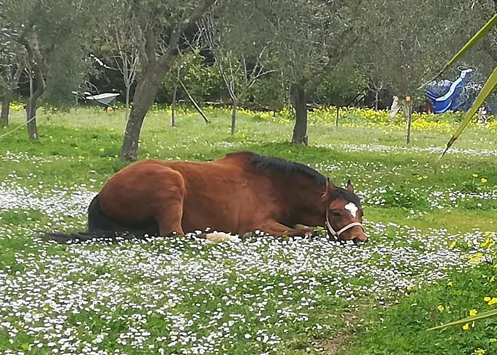 Casa Masseria Le Ville Peschici