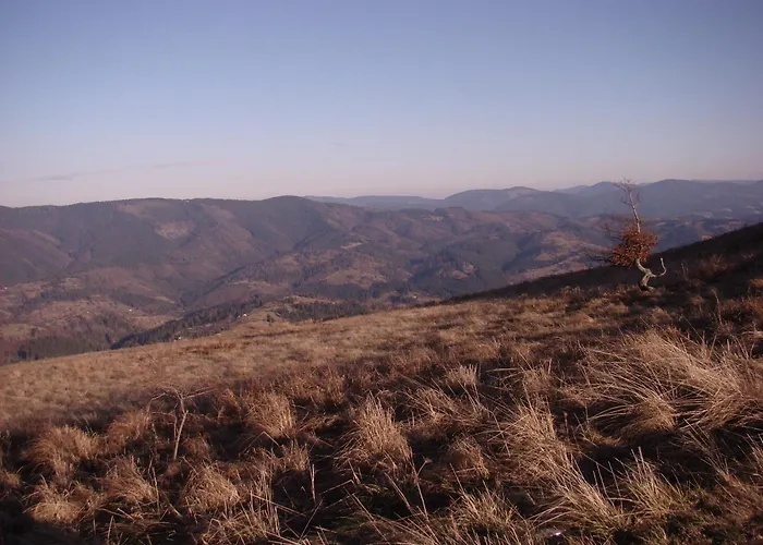 Terem