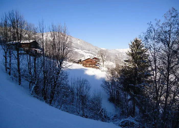 Apart Bianca Zillertal