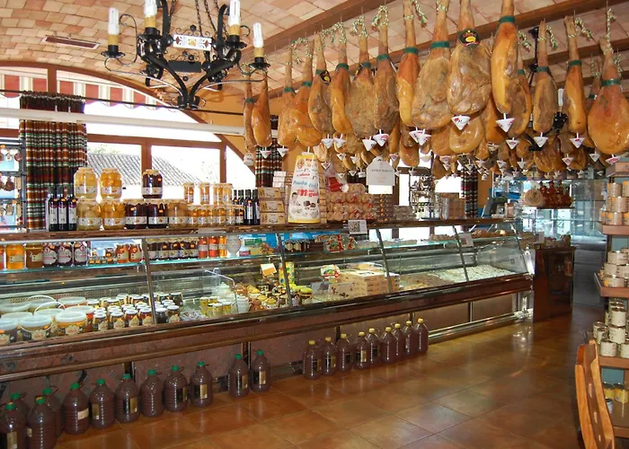 Hotel Flor De La Mancha
