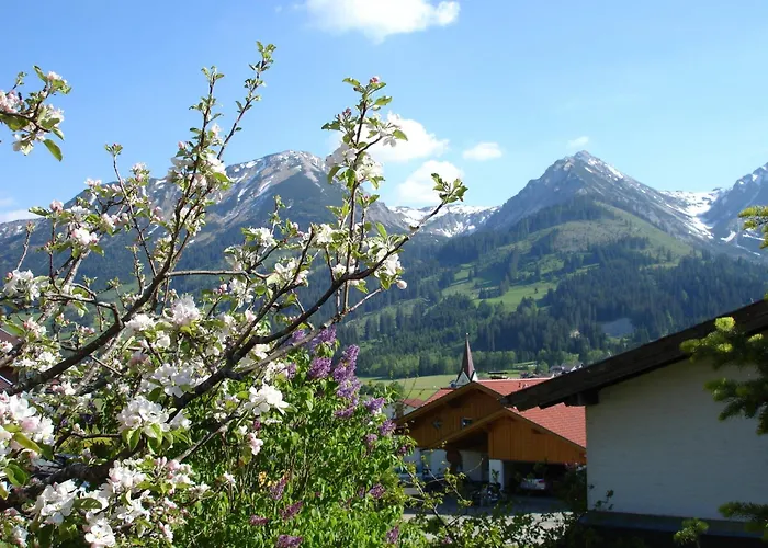 Auf der Sonnenseite
