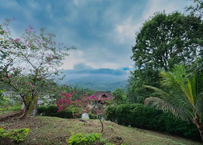 Misty Heights By The Sanihara