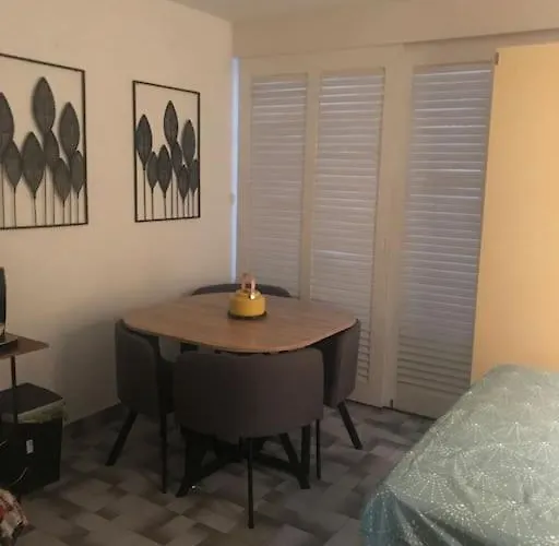 Agde : Appartement Vue Sur Le Port