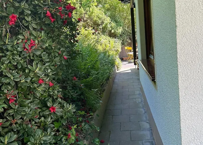 Ferienwohnung Sonneck