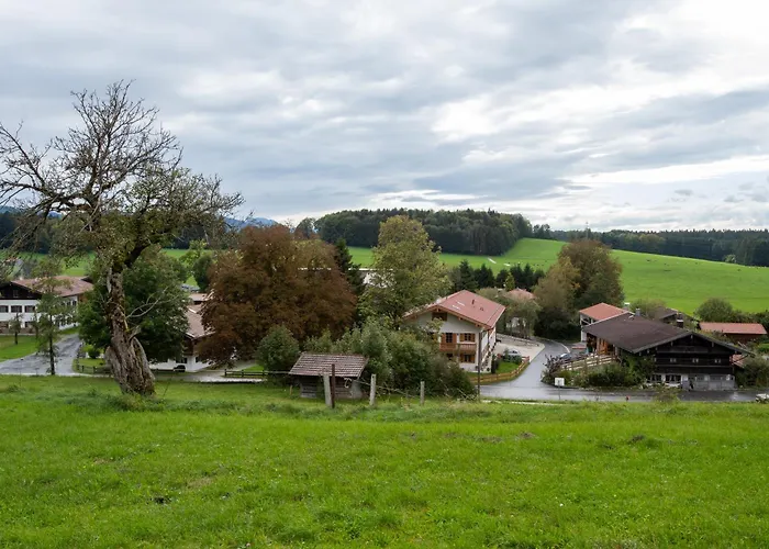 Schmidtler`s Nest