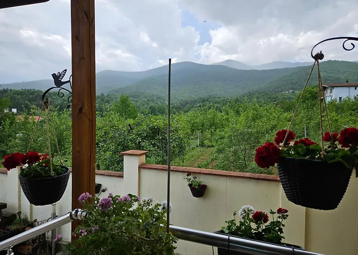 Family Hotel Komhotel
