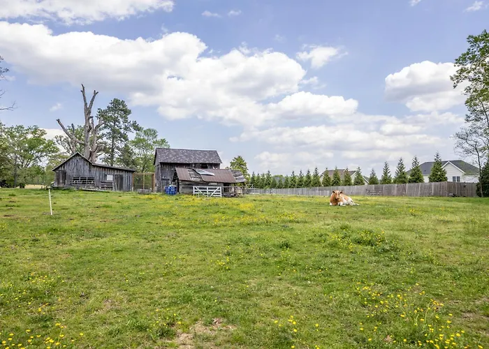 Watch Deer From A Farm Cottage