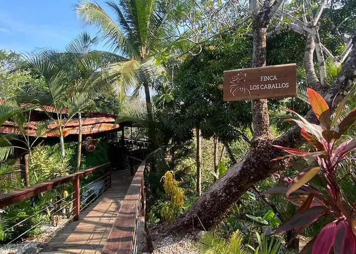 Finca Los Caballos Montezuma