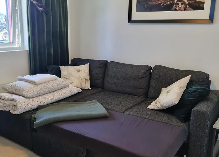 Apartment Near Center / Free P