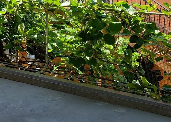 Apartmani Milicevic