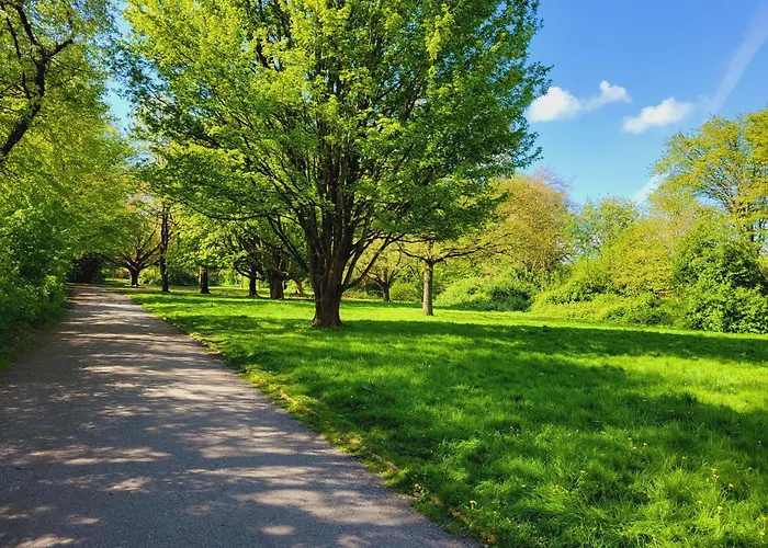 Ferienwohnungen am Park