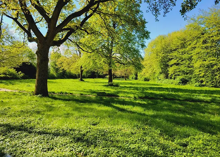 Ferienwohnungen am Park