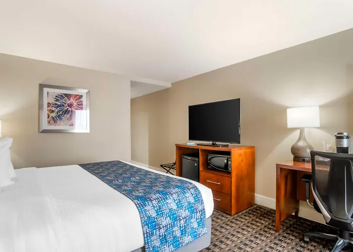 Best Western Plus Greenville I-385 Inn & Suites