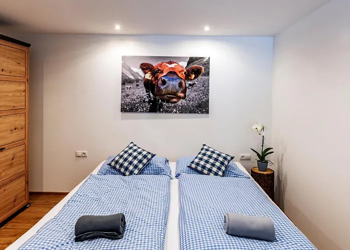 Haus Silvretta Nova
