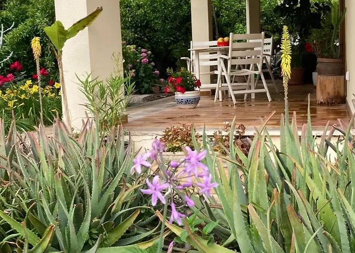 Home Garden