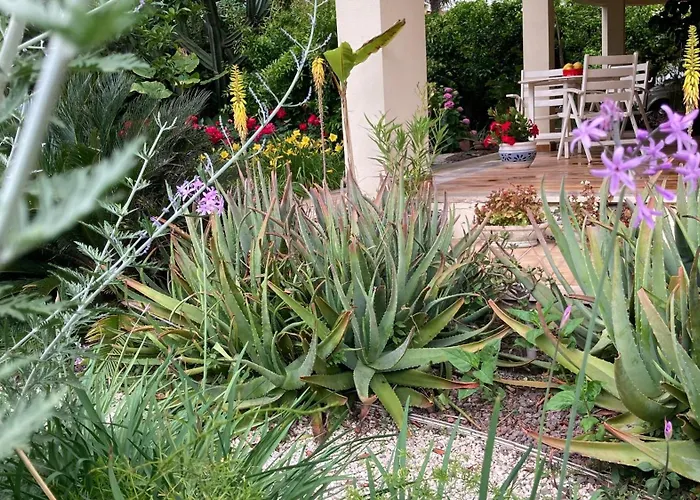 Home Garden