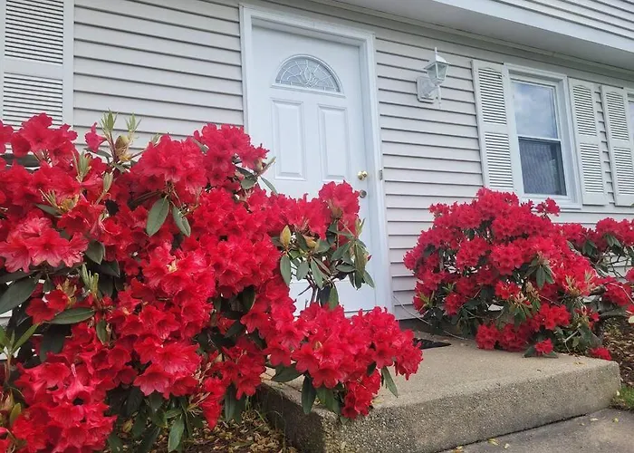 Spacious 5Br Beach House Vacation-Walk To Scarborough!