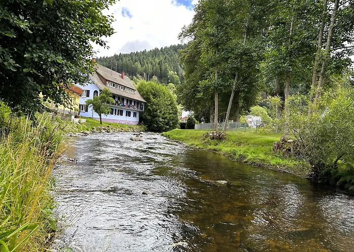 Ferienwohnung Kinzig-Chalet - Balkon - Für Kinder - mit Bettwäsche&Handtücher