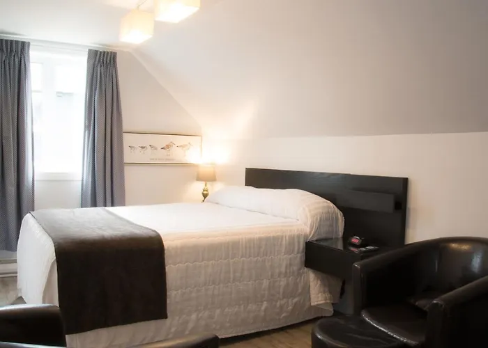 Hotel Motel Le Beluga