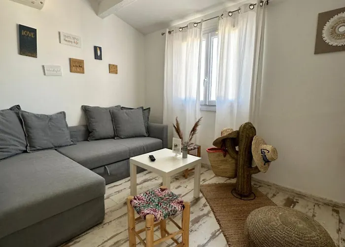 Appartement Cosy Le Boheme, A 300M Des Plages Et Animaux Acceptes 2Eme Etage