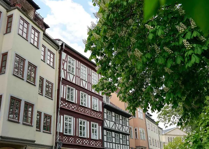 Lady Milavie apartments