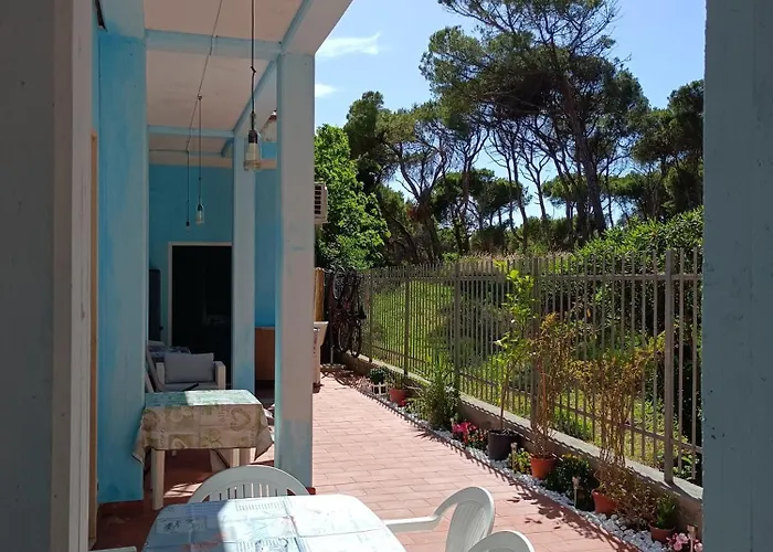 Bibbona Summer - Pineta 1 -