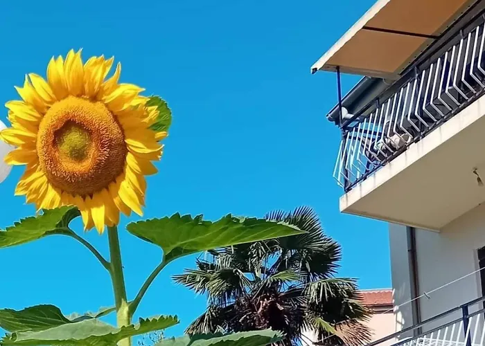 Sea And Sunshine 100M To Beach,Free Parking,Centar,View