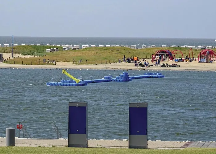 Strandlaeufer