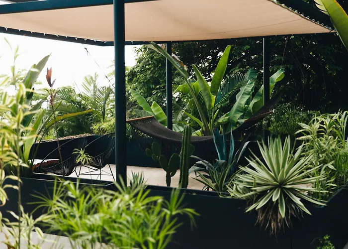 Mint Santa Teresa - Adults Only