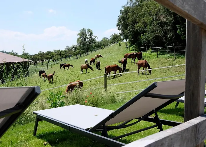Trautesheim Ferienwohnungen