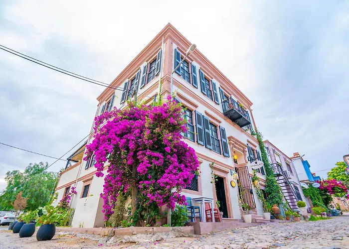 Siyah Lale Cunda 1841 (Adults Only)