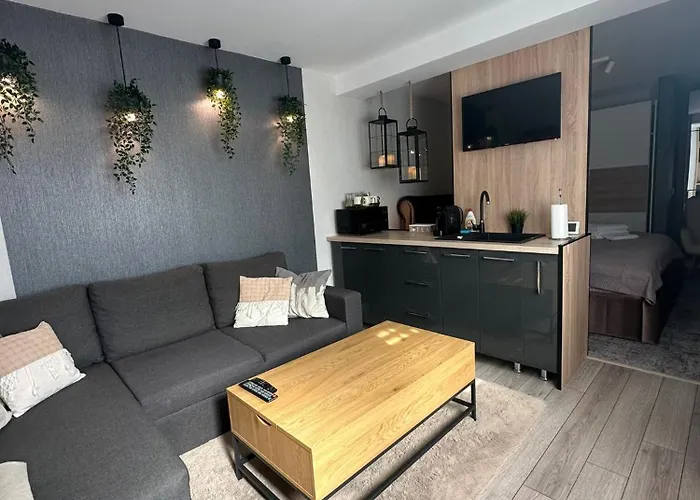 Luxury Studio