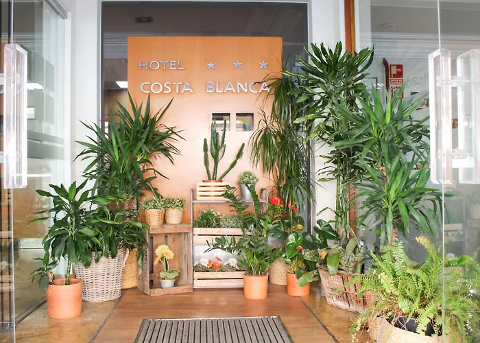 Hotel Mr Costa Blanca