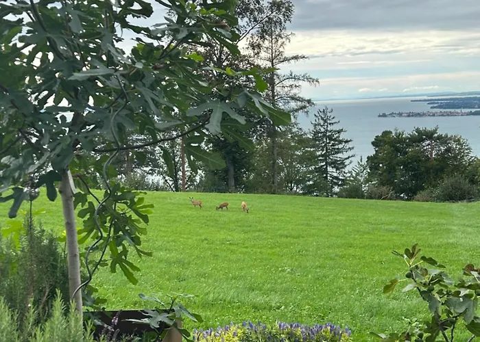 Seeblick Appartements Henle