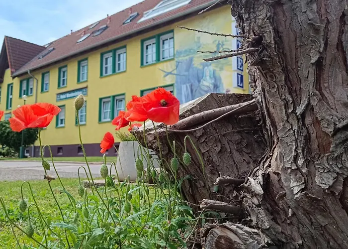 Hotel Wandersleben - Erfurt