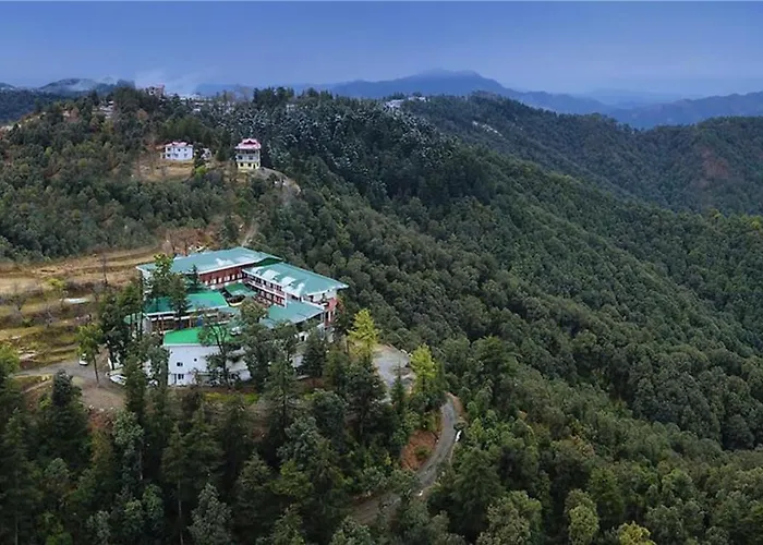 Treehouse Chail Villas