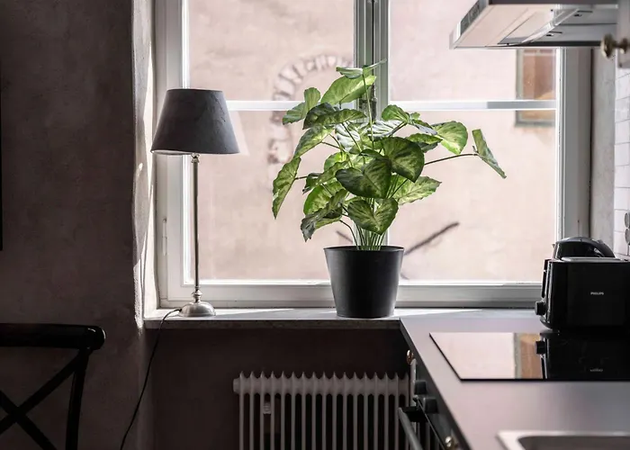 Cozy Studio For 4 People At Stora Torget