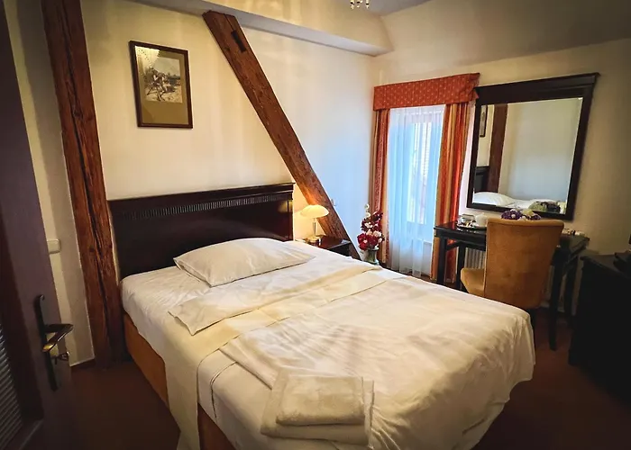 Hotel U Zeleneho Stromu