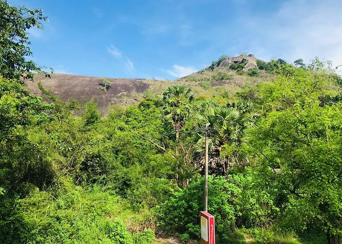 Nature Rock Dambulla