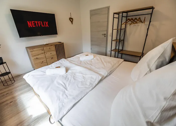 EifelComfort modernes Apartment in zentraler Lage