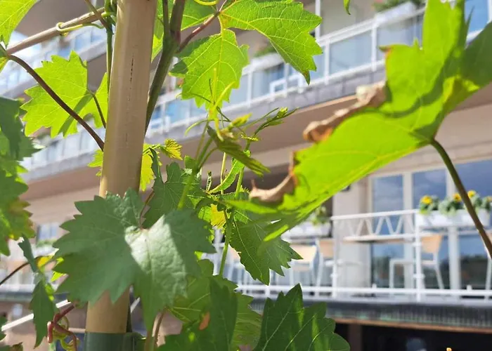 Hotel Ehnen La Moselle Luxembourg
