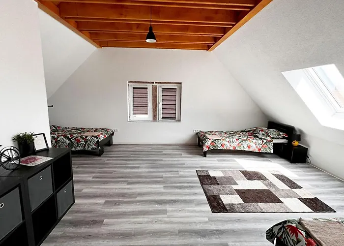 Spacious Apartment Near Hanau