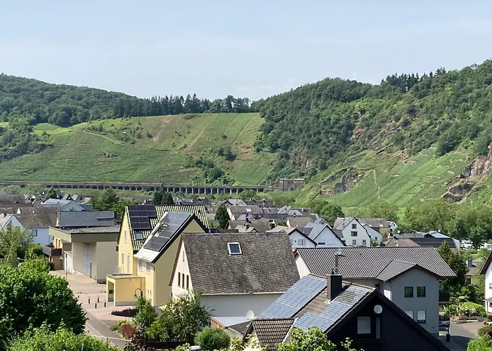 Burgblick Pünderich