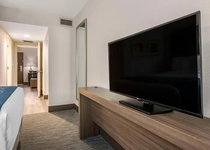 Comfort Inn & Suites Downtown Brickell-Port Of Miami