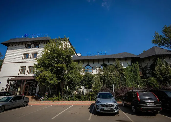 Metelitsa Hotel