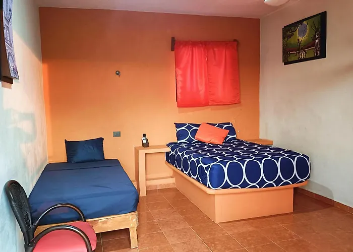 El Ultimo Maya