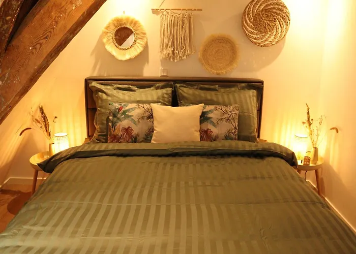 Coolest Apartments In Haarlem City - Close To Beach And Amsterdam